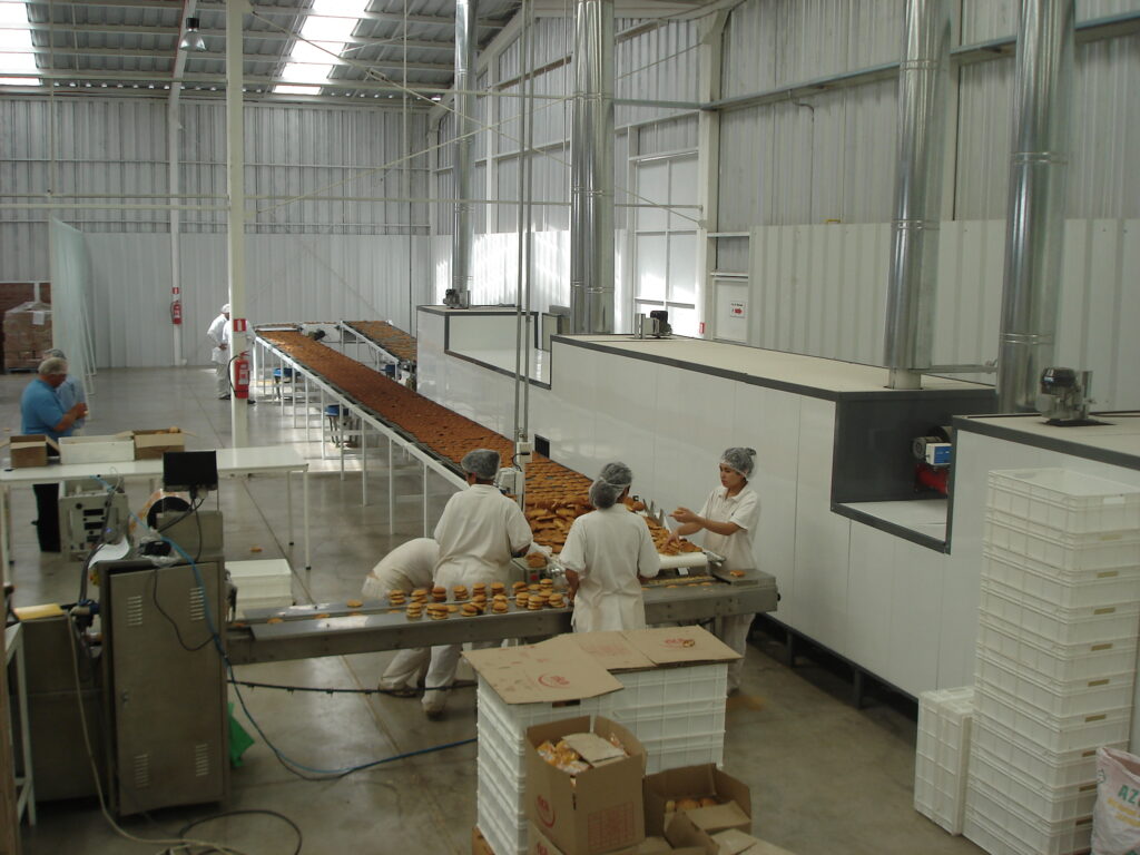 HORNO EN PRODUCCION 2